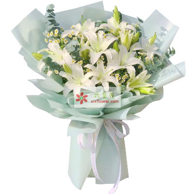 贵阳6支白色多头百合，温馨的祝福