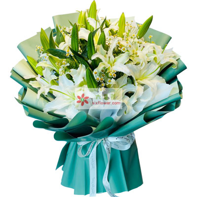 贵阳8支白色多头百合洋甘菊，如潮的思念